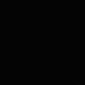 Meet your Posher, Roxy