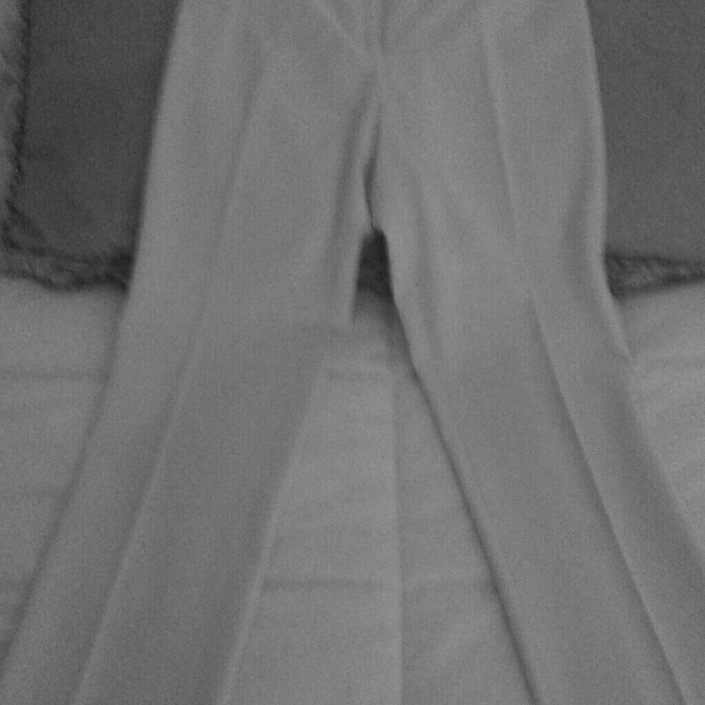 Oscar DeLaRenta Slacks (straight leg)
