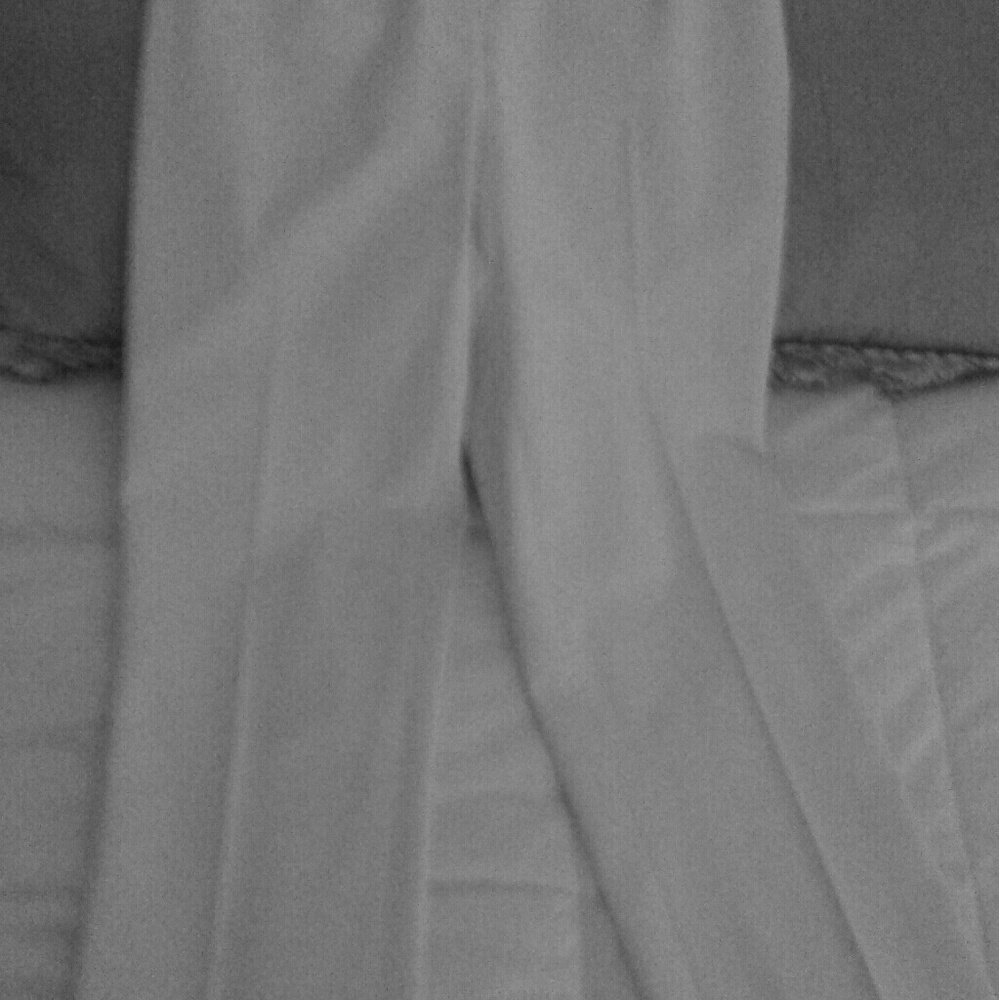 Oscar DeLaRenta cream colored slacks