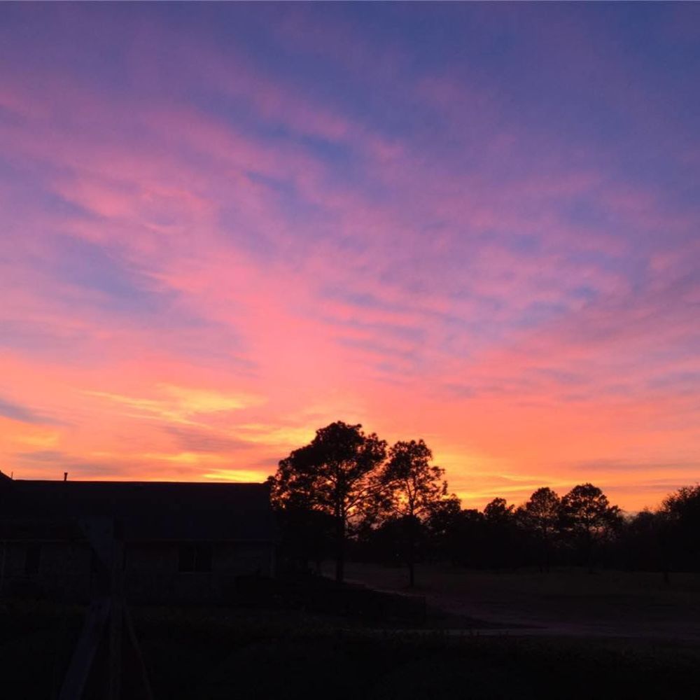 Meet your Posher, Juliana