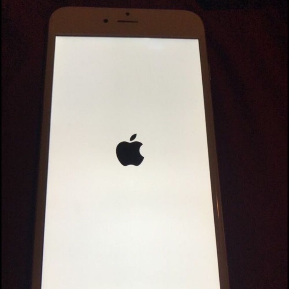 iPhone 6 Plus