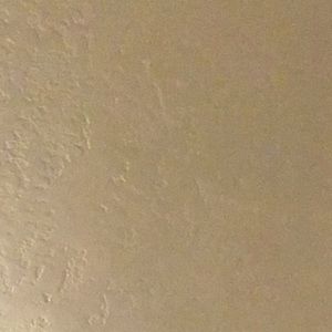 Meet your Posher, Adelle