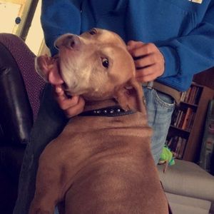 Meet your Posher, Shelly