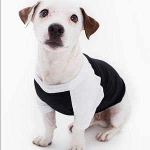 New American Apparel Small Dog Shirt