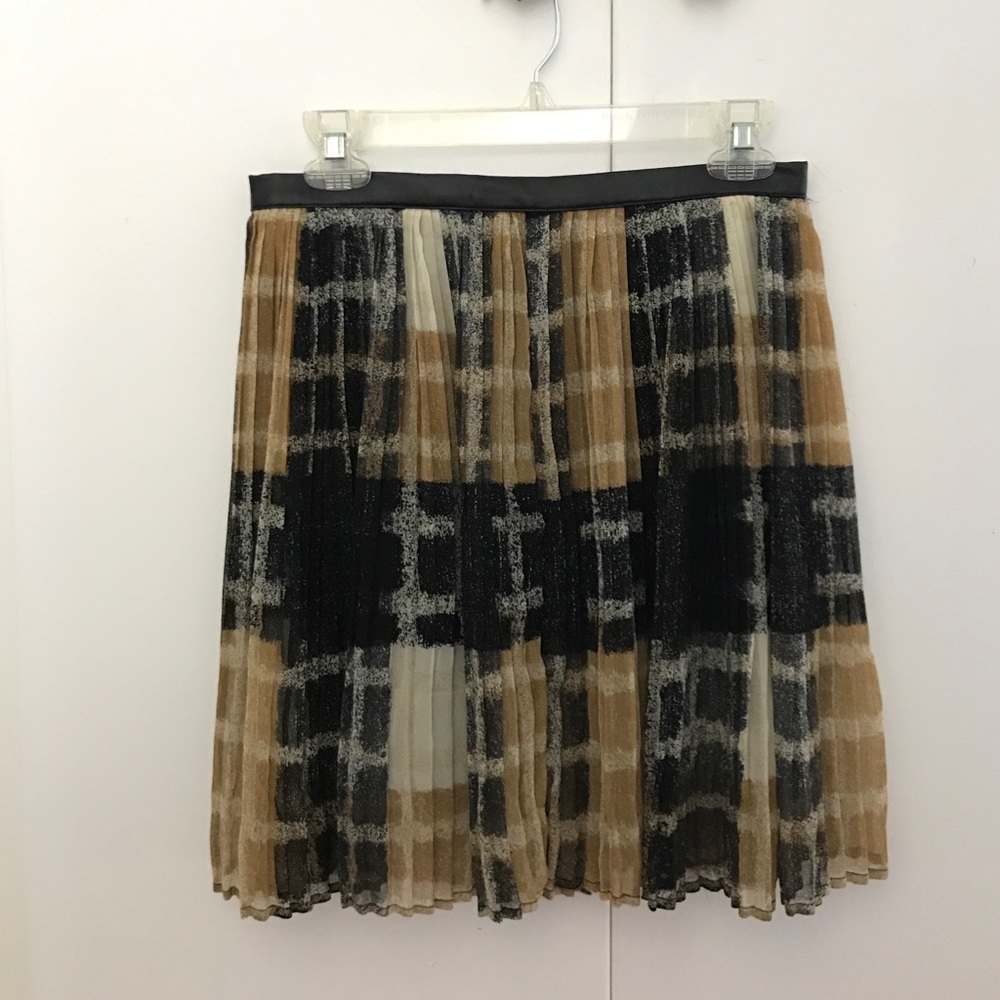 Sheer pleated skirt