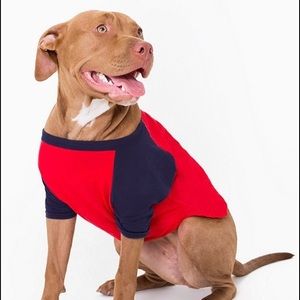 New American Apparel Medium Dog Shirt