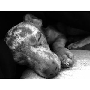 Meet your Posher, Kiersten