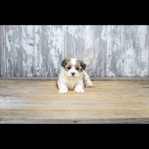 Meet your Posher, Ann