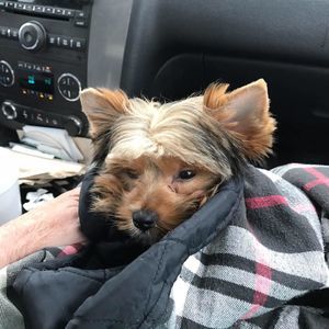 Meet your Posher, Mary