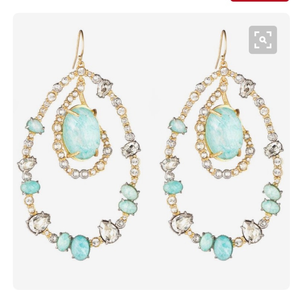 In Search Of these earrings!!