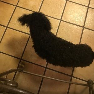 Meet your Posher, Rhonda