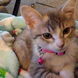 Meet your Posher, Janet