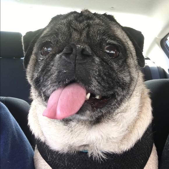 Meet your Posher, Ashlee - Picture 2 of 2