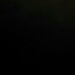 Meet your Posher, Bree