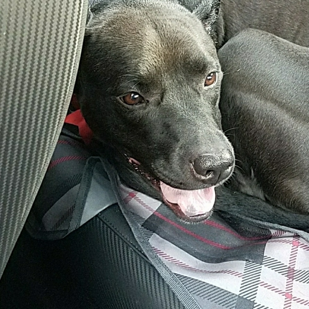 Meet your Posher, Katherine