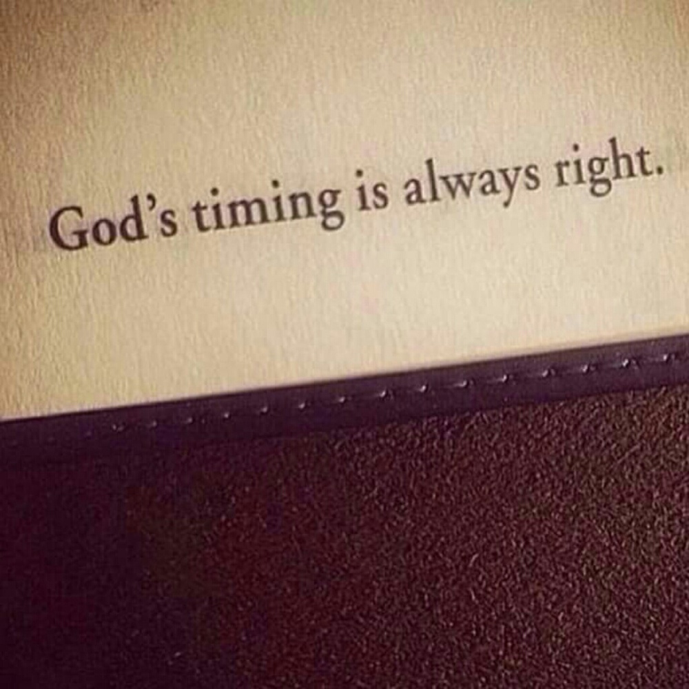 Thanks for looking and your purchase