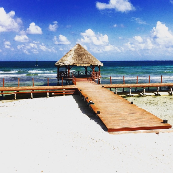 Meet your Posher, Amy - Picture 1 of 1