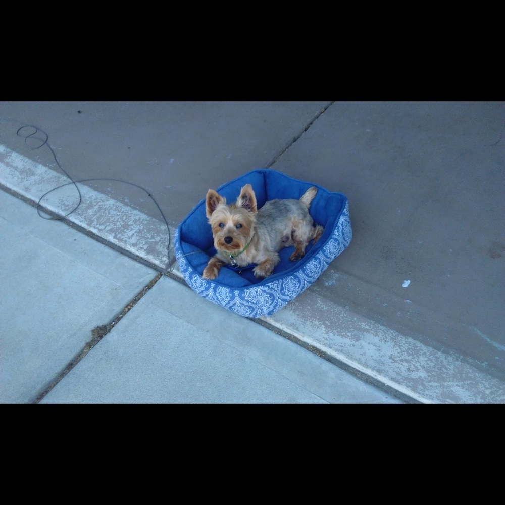 Meet your Posher, Dianne