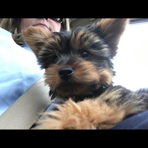 Meet your Posher, Sharon