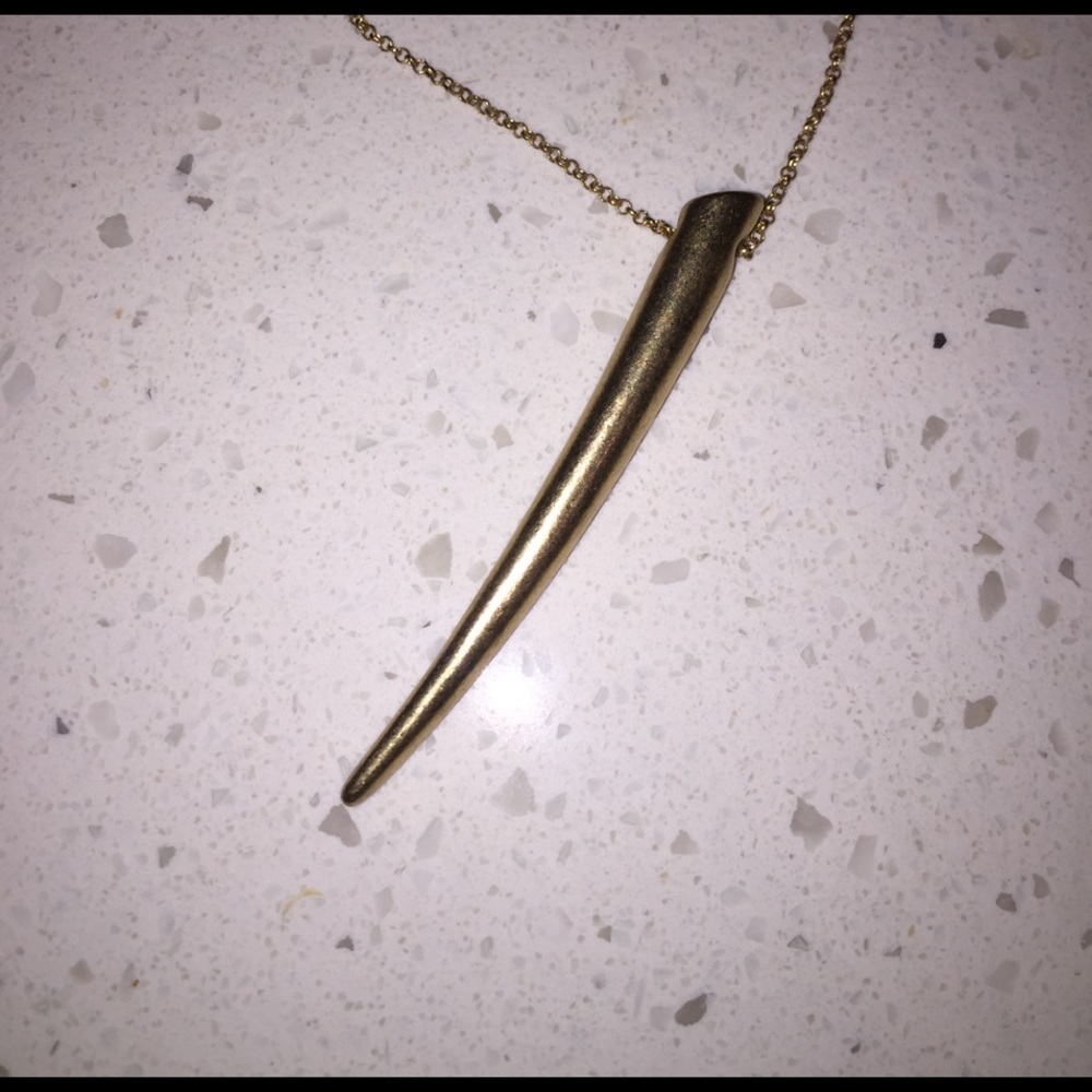 Gold Horn Necklace