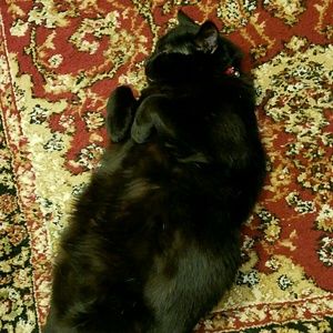 Meet your Posher, Alisha