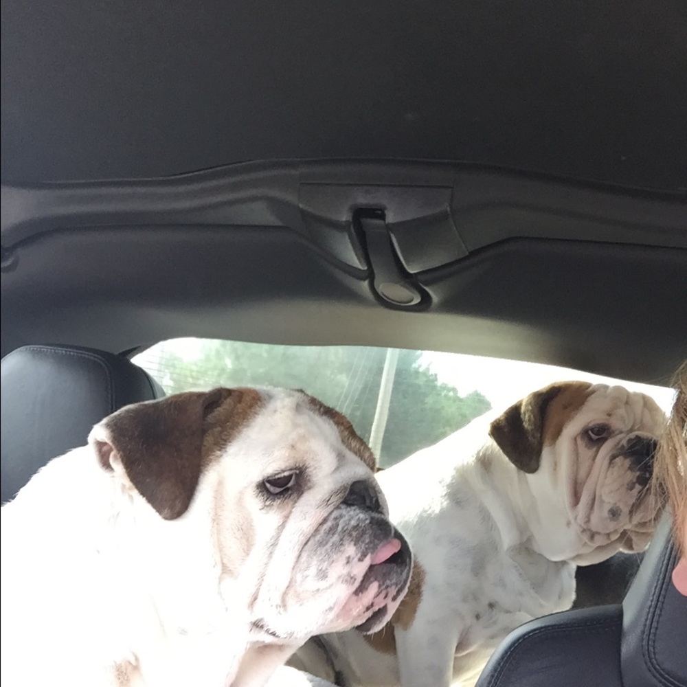 Meet your Posher, Shelly