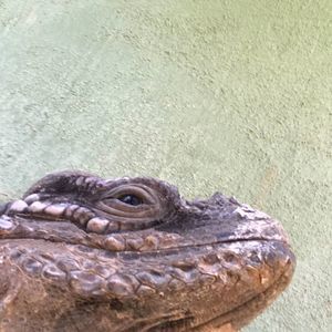 Meet your Posher, Sebastian