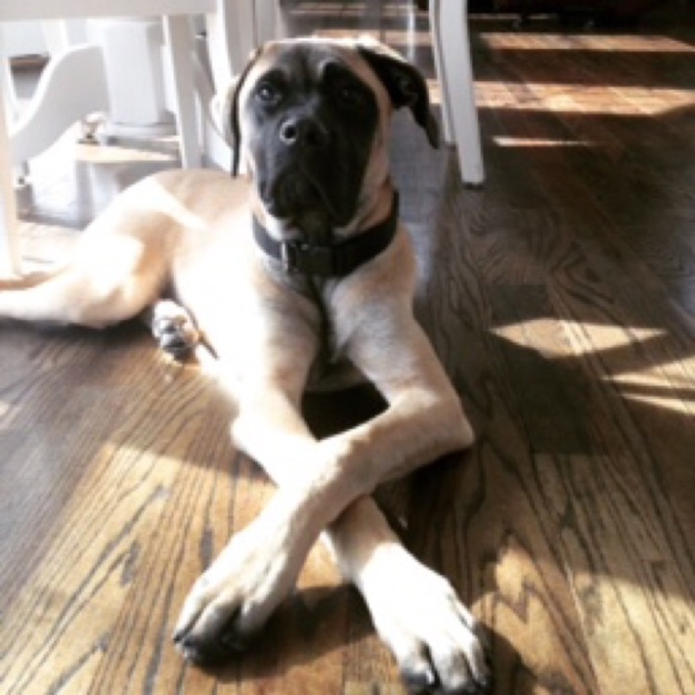 Meet your Posher, Megan