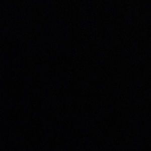 Meet your Posher, Peyton