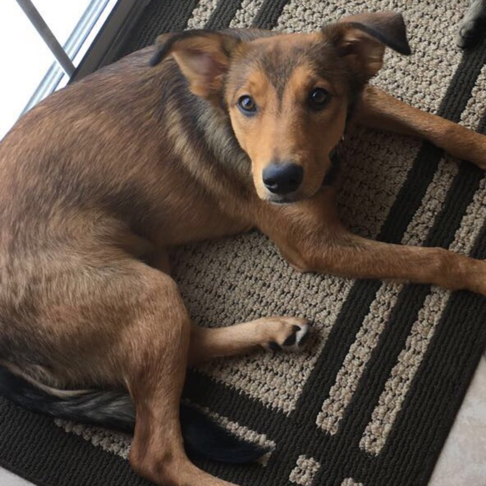 Meet your Posher, Tori