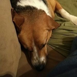 Meet your Posher, Jeff