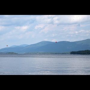 Meet your Posher, Joey