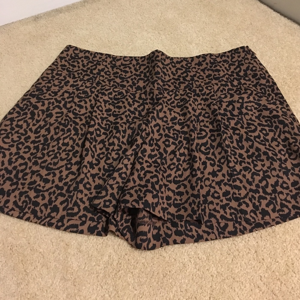 Skorts-Ann Taylor Loft