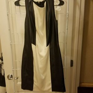 Black and white mini