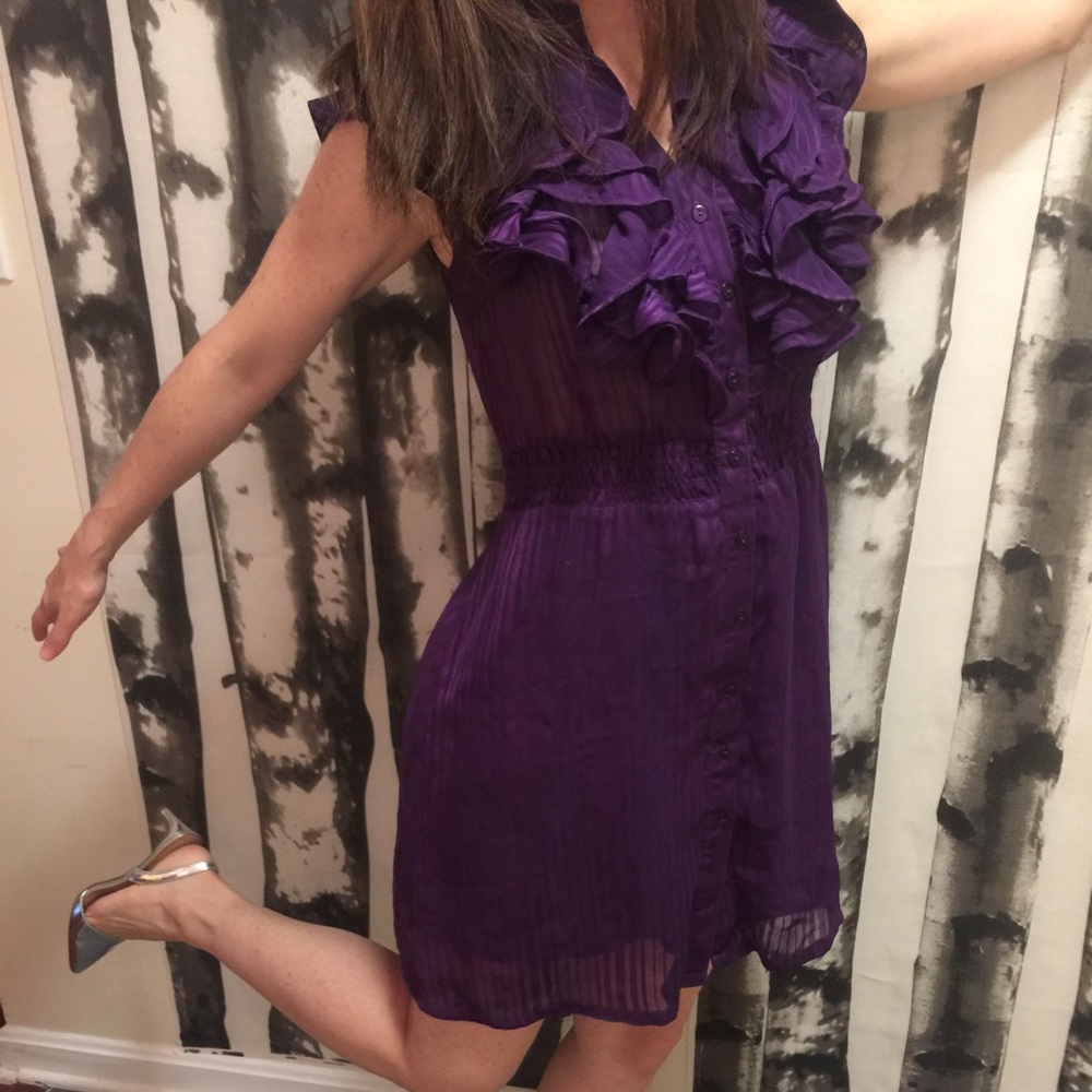 Charlotte Russo fun sheer feminine purple dress/S