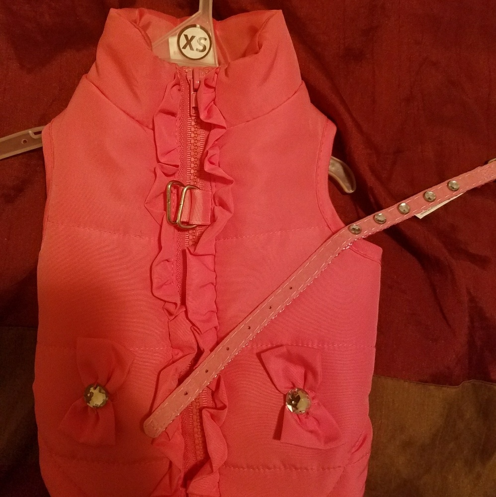 Doggy Jacket and Collar set with rhinestone accent