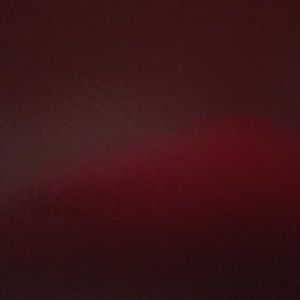 Meet your Posher, Gabe