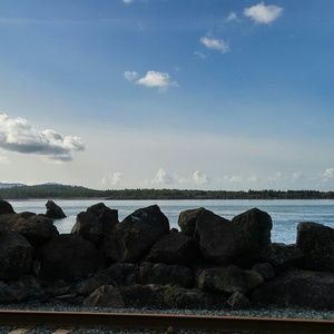 Meet your Posher, Terrie