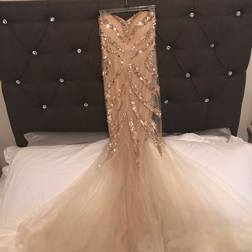 Cinderella size 4 gown