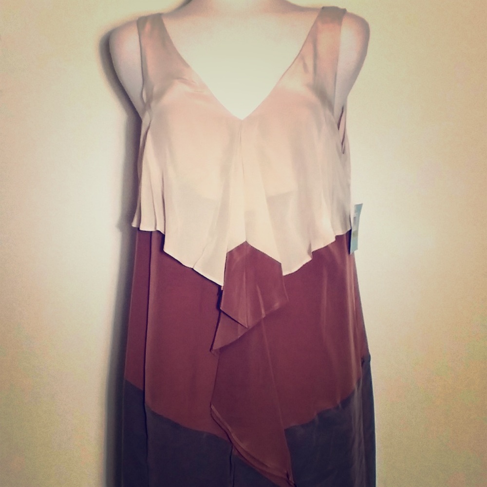 Suzi Chin Beige/Brown Silk Dress