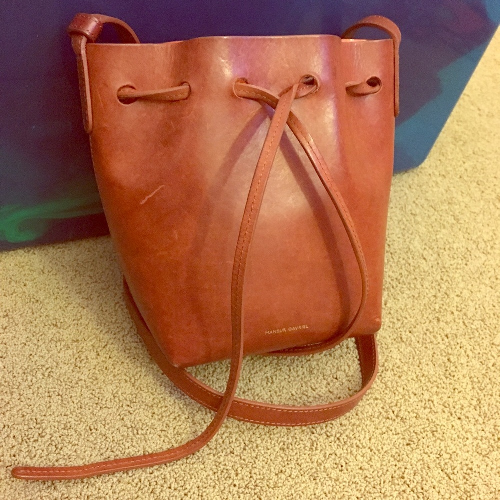 Mansur Gavriel bucket bag mini mini size