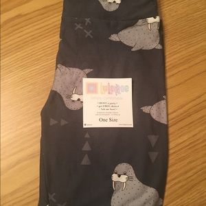 Lularoe Os Walrus Brand New With Tags Unicorn