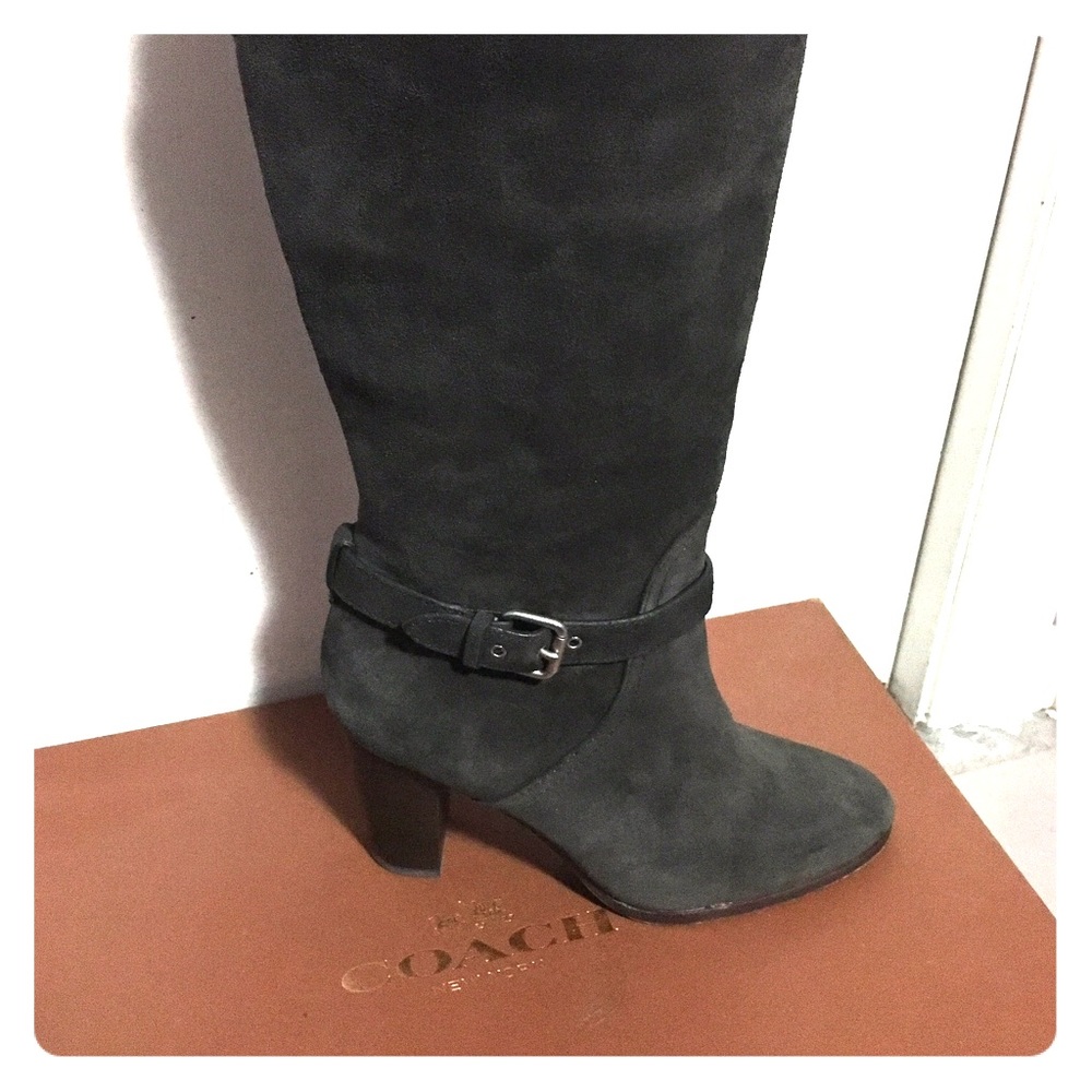 Beverly calf suede boots