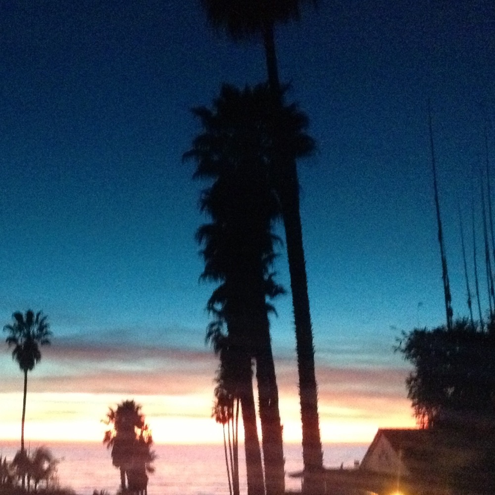 Meet your Posher, Liz