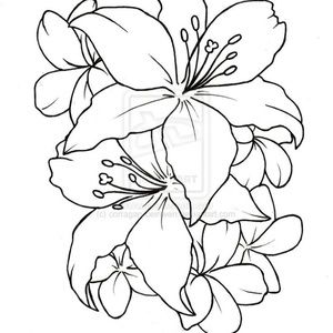 Meet your Posher, Blaze