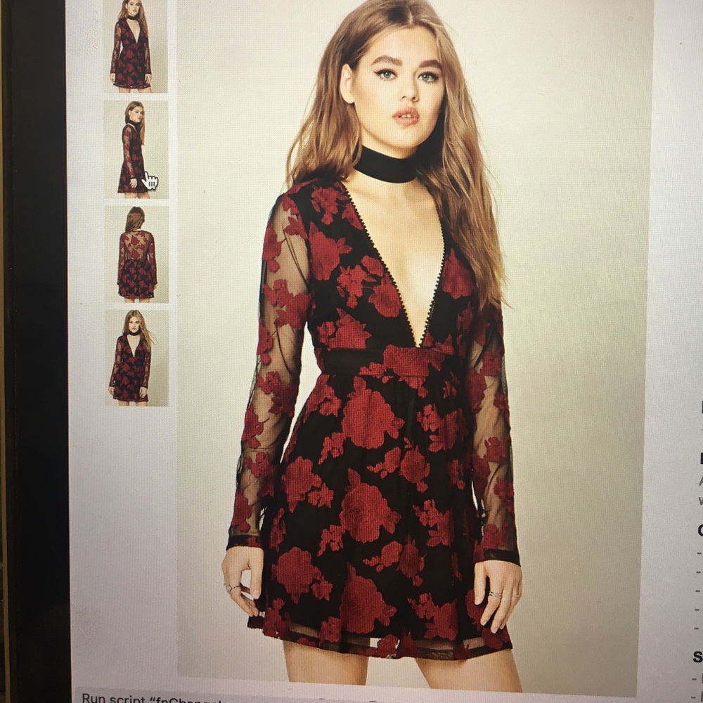 Embroidered roses, sheer back beautiful lace dress