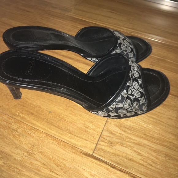 Coach Myles - Picture 2 of 2