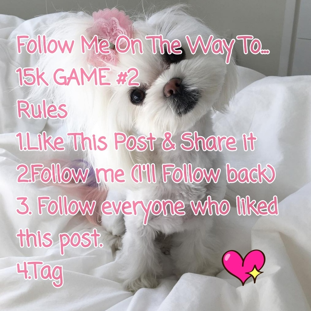 Please Help me Get To 15k Followers Game#2