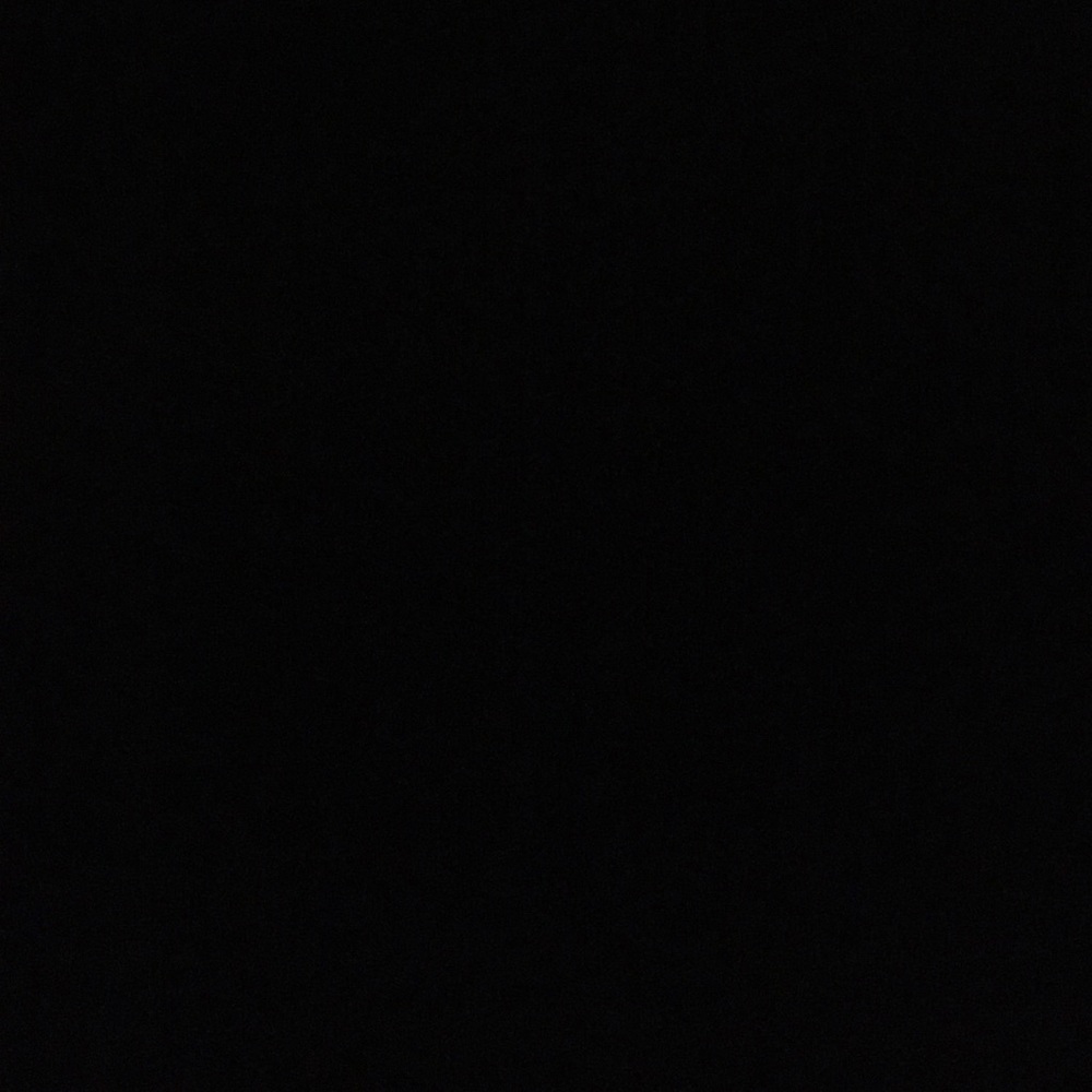 Meet your Posher, Lacey