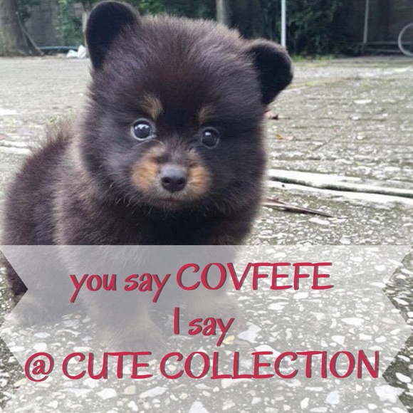 Meet your Posher, Gie @ Cute Collection - Picture 2 of 3